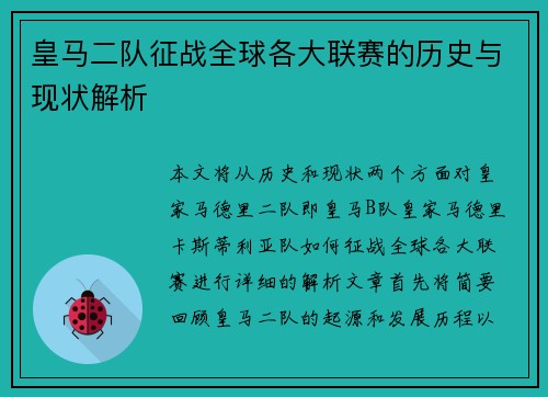 皇马二队征战全球各大联赛的历史与现状解析